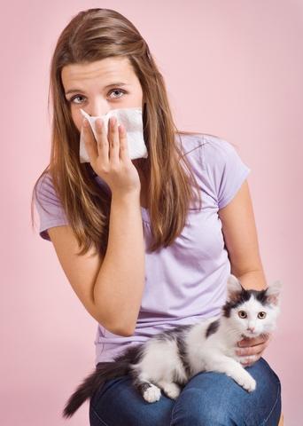 Consejos para niños con alergia a animales