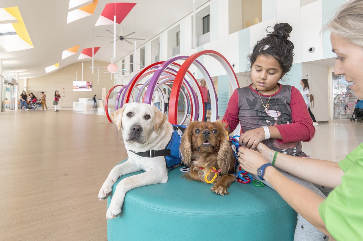 Nena amb gossos a l'Hospital Sant Joan de Déu