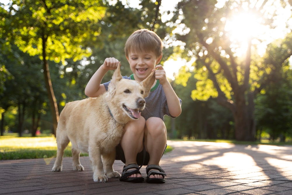 Tu hijo quiere una mascota: analiza los pros y los contras