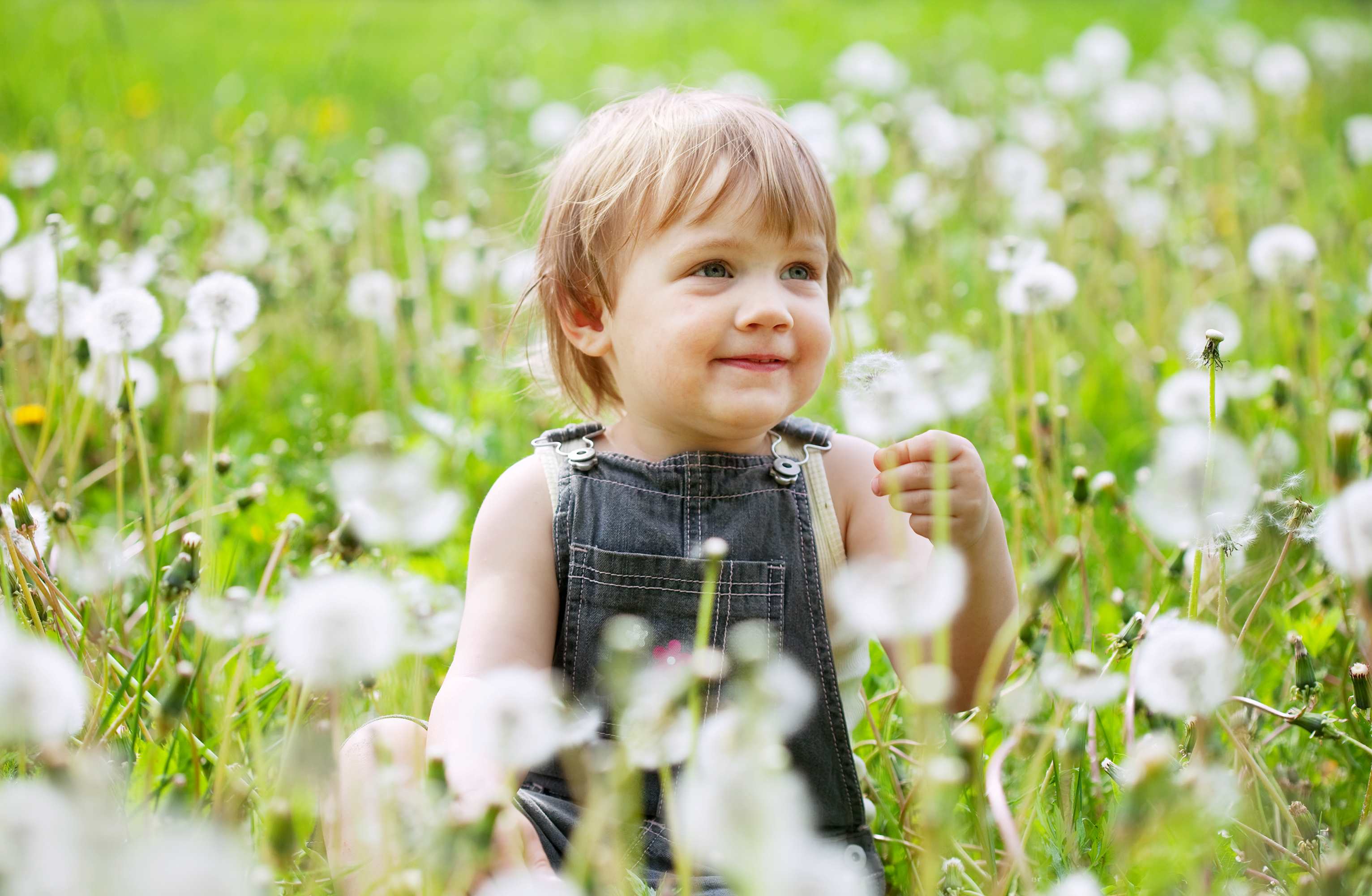 Nen en un camp de flors