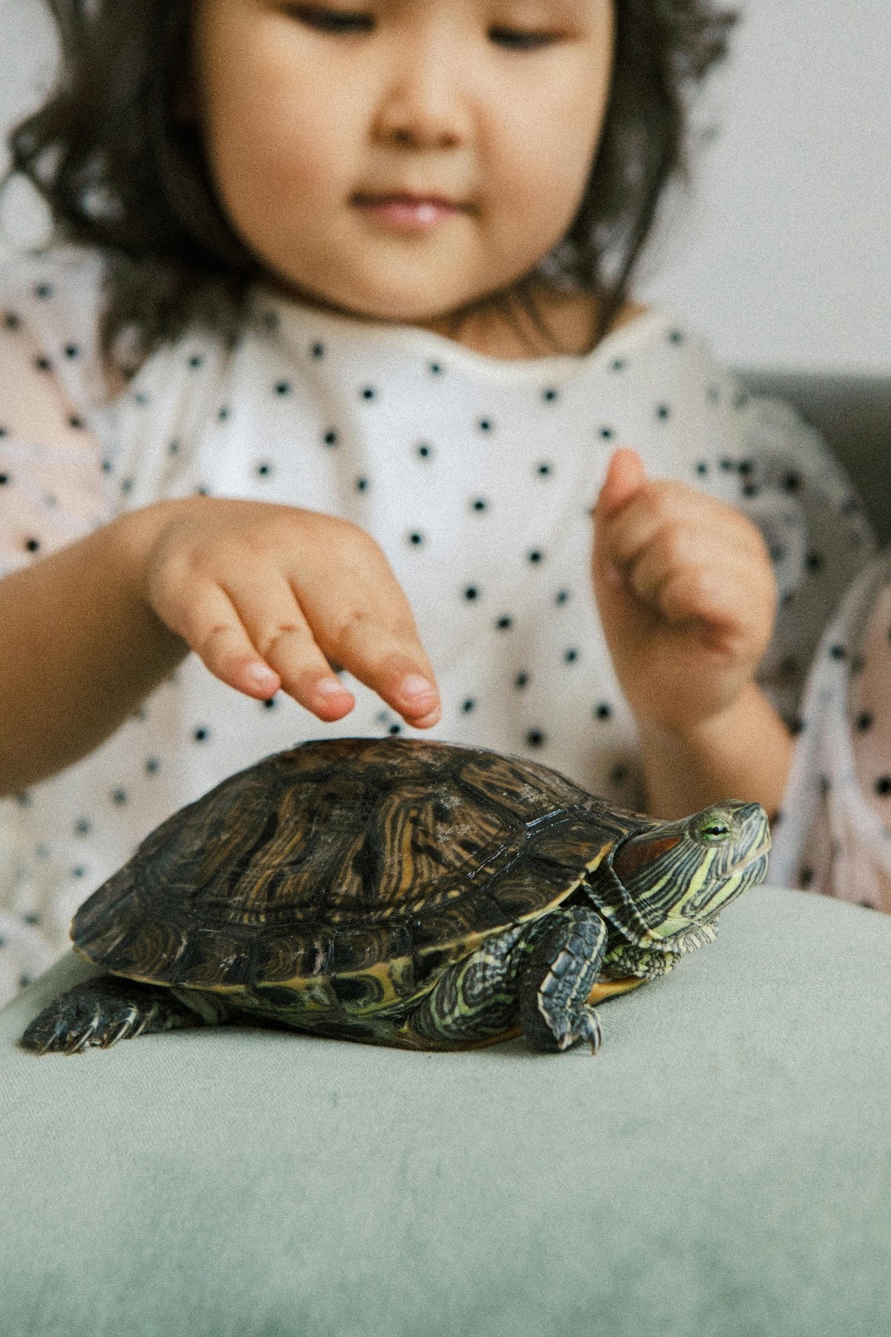 Nena amb una tortuga de mascota