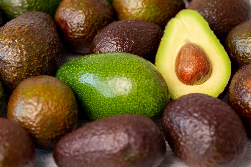 Alvocat o "palta": l'or verd de l'Amèrica Central