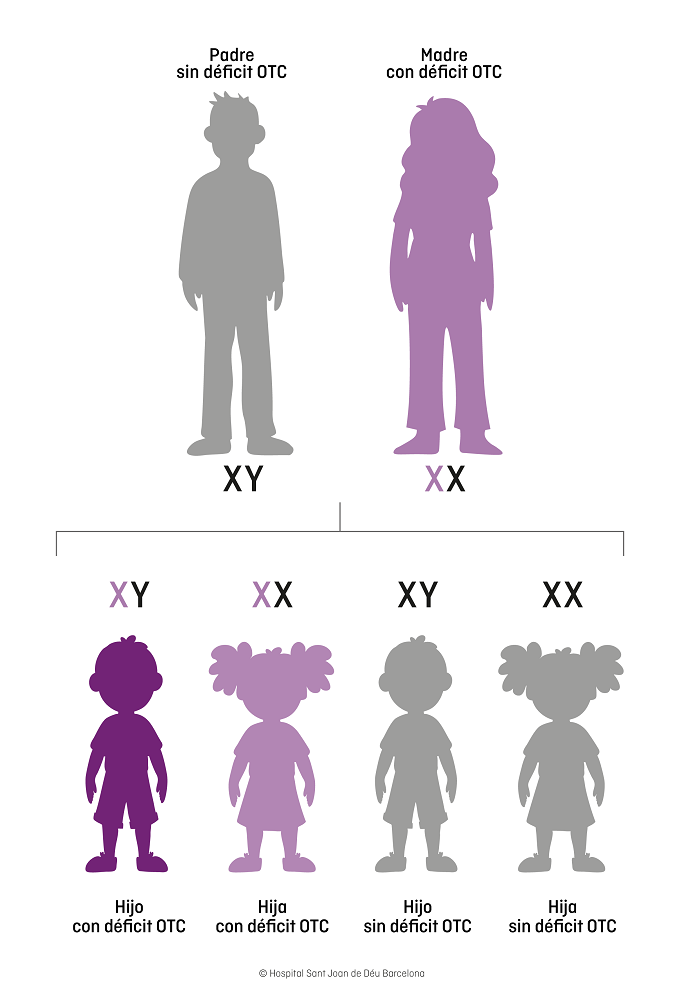 deficiencia de Ornitina Transcarbamilasa