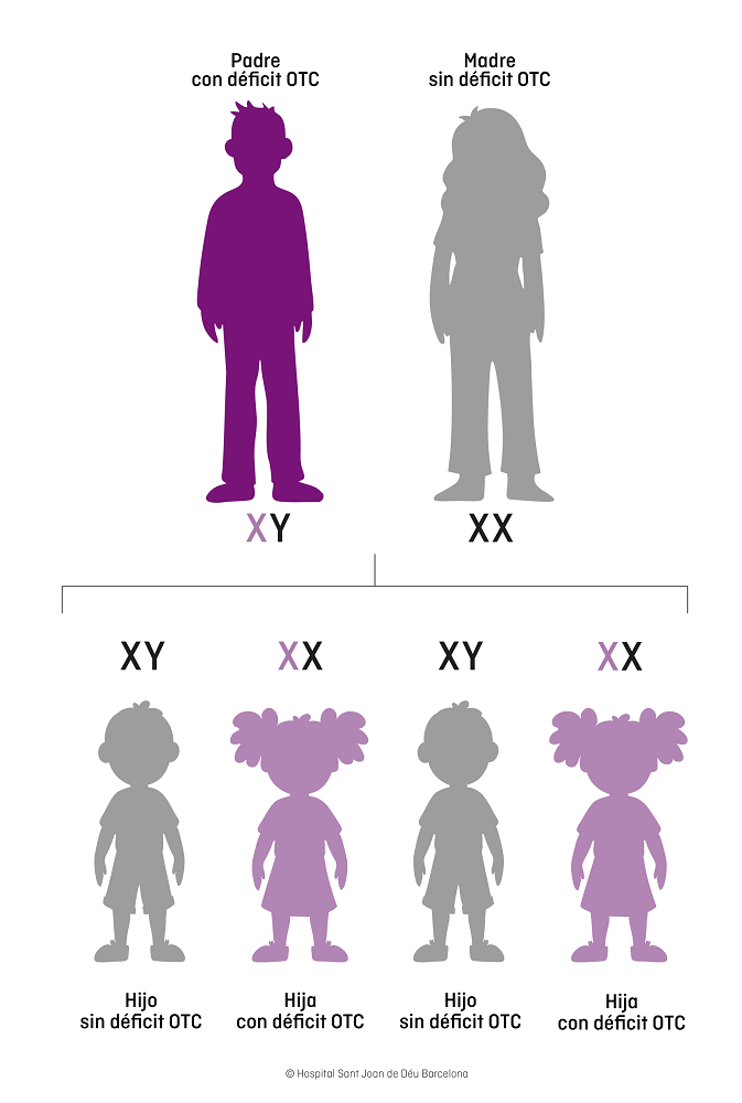deficiencia de Ornitina Transcarbamilasa