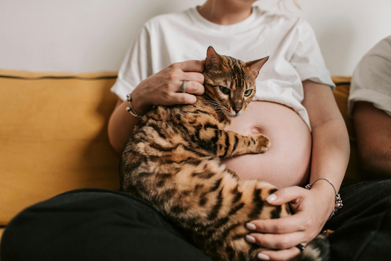 Embarazada abrazada a su gato